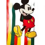 Disney  Mickey Mouse Jamaican Swimsuit Size Medium Photo 5