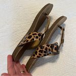 blowfish  leopard print thong sandals size 6 Photo 12