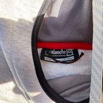 Avalanche  Light Gray Logo Hoodie Photo 2