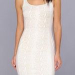 Bailey 44 Women's Anita Snake Panel Sheath Dress Photo 0