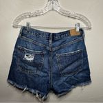 American Eagle AEO 90s Boyfriend High Rise Denim Distressed Jean Shorts Photo 7