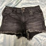 Wrangler Distressed Vintage Shorts Photo 0