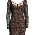 French Connection  Thora Lula Ponte Lace Jersey Dress Women's Large Black NWT Photo 0