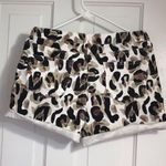 Leopard Print Women’s Shorts Multiple Size L Photo 1