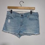 Hudson Jeans HUDSON Amber Raw Hem Shorts Photo 2