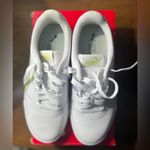 Puma  Carina Photo 1