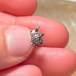 Sterling Silver Mini Turtle 925 Single Stud Earring Photo 9