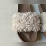 UGG Royale Slipper/Sandal Photo 1