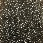 Le lis Star Skirt Photo 1