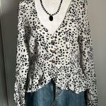 Nasty Gal Deep V-Neck Leopard Print Button Up Long Sleeve Semi-Sheer Blouse Photo 0