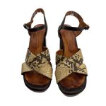 Chie Mihara Cafra High Heel Platform Sandal in Snake Print Size 38.5/ 8.5 Brown Photo 1