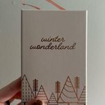 LC Lauren Conrad NWT Winter wonderland “Be kind” gold necklace. Photo 3