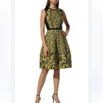 Oscar de la Renta NWT  Yellow and Black Midi Dress Photo 2