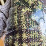 Chico's Chico’s tweed blazer Photo 7