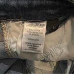 Bridge by GLY  Distressed Jeans size 24 Photo 4