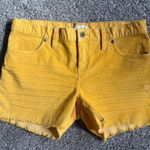 Carve Designs  Womens Corduroy Shorts Dandelion Yellow Size 2 Great Condition Photo 2