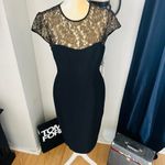 Maggy London Black Stretch Crepe Gold Lace Illusion Dress, Black, Size 8, NWT Photo 13