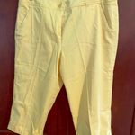 Larry Levine  shorts Photo 0