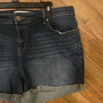 Torrid Plus Size 18 Classic Fit Blue Denim Shorts Photo 3