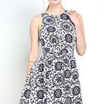 Cals  Navy Blue and White Back Cutout Flare Dress Photo 0