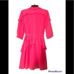 Saloni Tilly Ruffle Dress Size 4 Photo 2