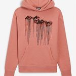 EXPRESS Unisex Mountain Drip Graphic Hoodie sweatshirt coral Pink size XL Photo 0