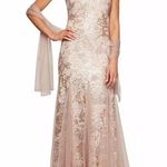 Alex Evenings  Women's Long V Neck Fit and Flare Dress w/ Shawl Rose Gold Size 12 Photo 9