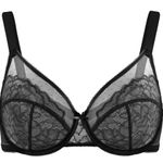 HSIA Enchante Unlined Lace Underwire Bra, 38D Black Size undefined Photo 0