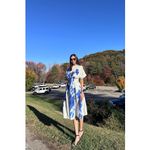 Natori White Blue Floral Collared Front Button Cinched Waist Andora Dress Size 8 Photo 15