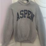 Grey Aspen Hoodie Gray Photo 0