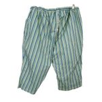 Vintage Copacabana petites size 22 striped Bermuda shorts Blue Photo 1