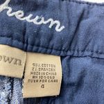 Ruff Hewn  Denim Pinstripe Bermuda Shorts Women's Size 4 Photo 3