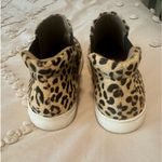 Coconuts by Matisse . Size7.5 M Photo 3