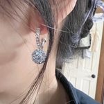 Pure silver full rhinestone ear earrings Photo 4