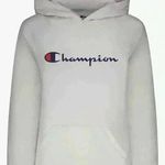 Champion  Hoodie Sweatshirt EUC size XL Photo 0