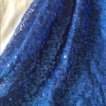 Lucy in the Sky  Shimmering Blue Sequin Dress Photo 3