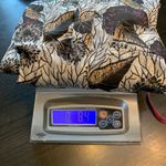 Porridge Women's Floral Print Long Sleeve Dress Small Button Down Oversized Black Photo 13