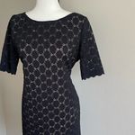 Tiana B. Beige and Black Dress Size 12 Tan Photo 1