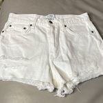 Pistola  Cotton Distressed Shorts Size 28 A-15 Photo 1
