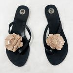 Melissa [] Black Jelly Sandals Rubber Flip Flop Beige Flower Beach Thongs Size 9 Photo 1