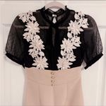 Japanese Kawaii Gyaru Black Pinkl Flower Lace Polka Dot Ruffle Mini Dress Photo 3