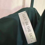 Lucy in the Sky FINAL PRICE Ruched Bodycon Dress ( Great for Mardi Gras ) Photo 3