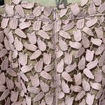 Bardot  Flora Lace Floral Pencil Skirt in Dusty Pink, Size 6/S Photo 5