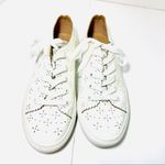 Loft  Off White Eyelet Sneakers Photo 6