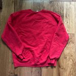 Champion University of Wisconsin Sweatshirt Badgers Photo 1