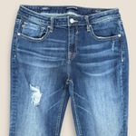 Vigoss Thompson Tomboy Jeans Photo 2