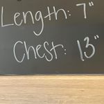 Everlane : NWT Dark Gray Wool Blend Crop Tank Top- S Photo 11