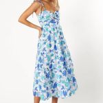 Petal and Pup  Maxi Dress Photo 1