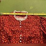 1970's Vintage VICTORIAN Edwardian Style CALICO Prairie Blouse Multiple Size XS Photo 8