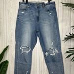 American Eagle NWT Plus Size Ripped Cool Classic Mom Jeans Crop Ankle 16 Short Photo 2